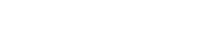 Tandoor Grill Panmure Logo